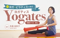 V\bhIK~seBX̗ZuYogatesbKeBXv̌NX ގq