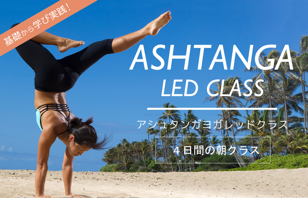 ヨーコ・フジワラのアシュタンガヨガレッドクラス
