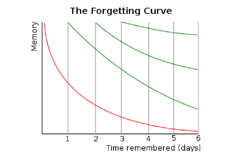忘却曲線のグラフ
