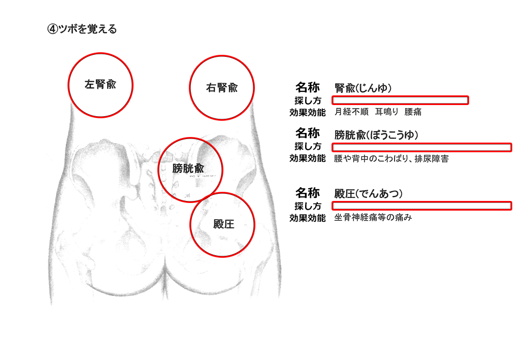 ヨガ解剖学講師内田かつのり先生の講座「骨盤セラピー」のテキストの一部