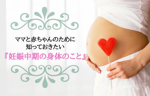 ママと赤ちゃんのために知っておきたい妊娠中期の身体のこと