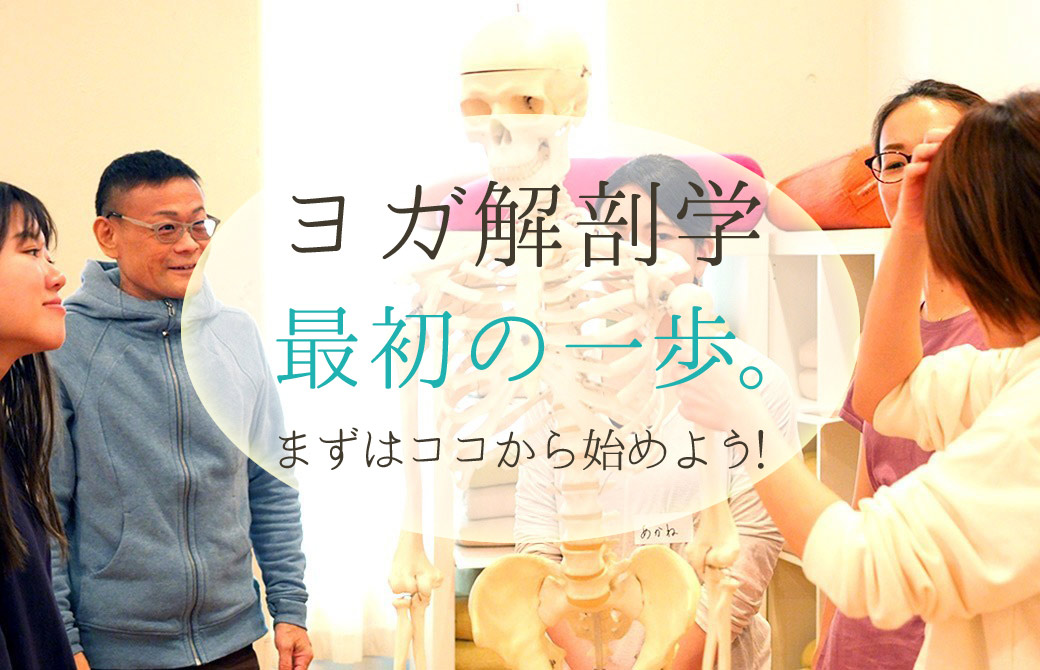 ヨガ解剖学最初の一歩