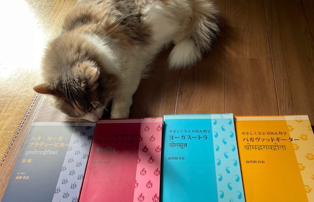哲学の本4冊と猫