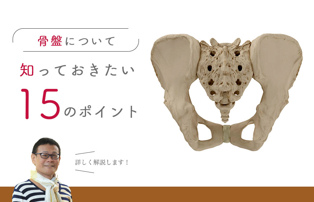 骨盤について知っておきたい15のポイント