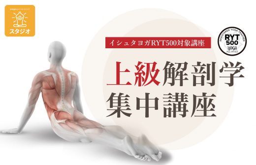 上級解剖学集中講座_スタジオ