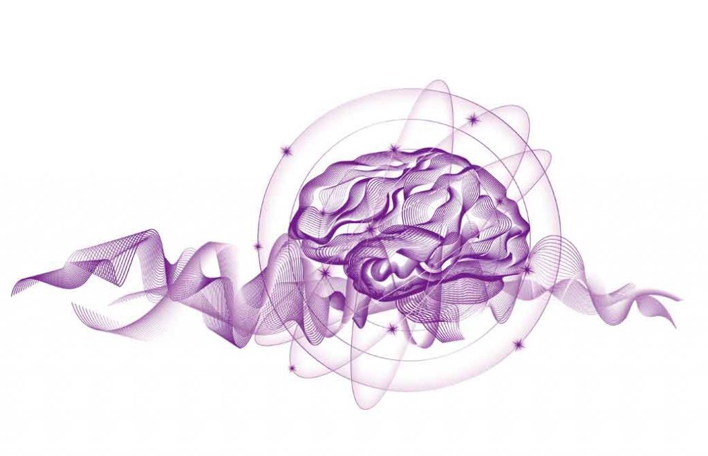 紫の脳の絵