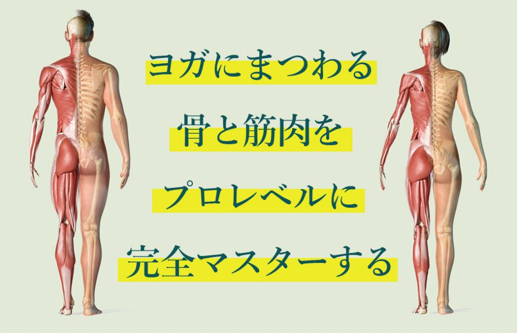 内田かつのり 実践ヨガ解剖学講座マスターコース