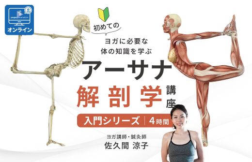 【サイド上】初めての「アーサナ解剖学講座」入門シリーズ
